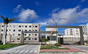Cantinho das bromélias